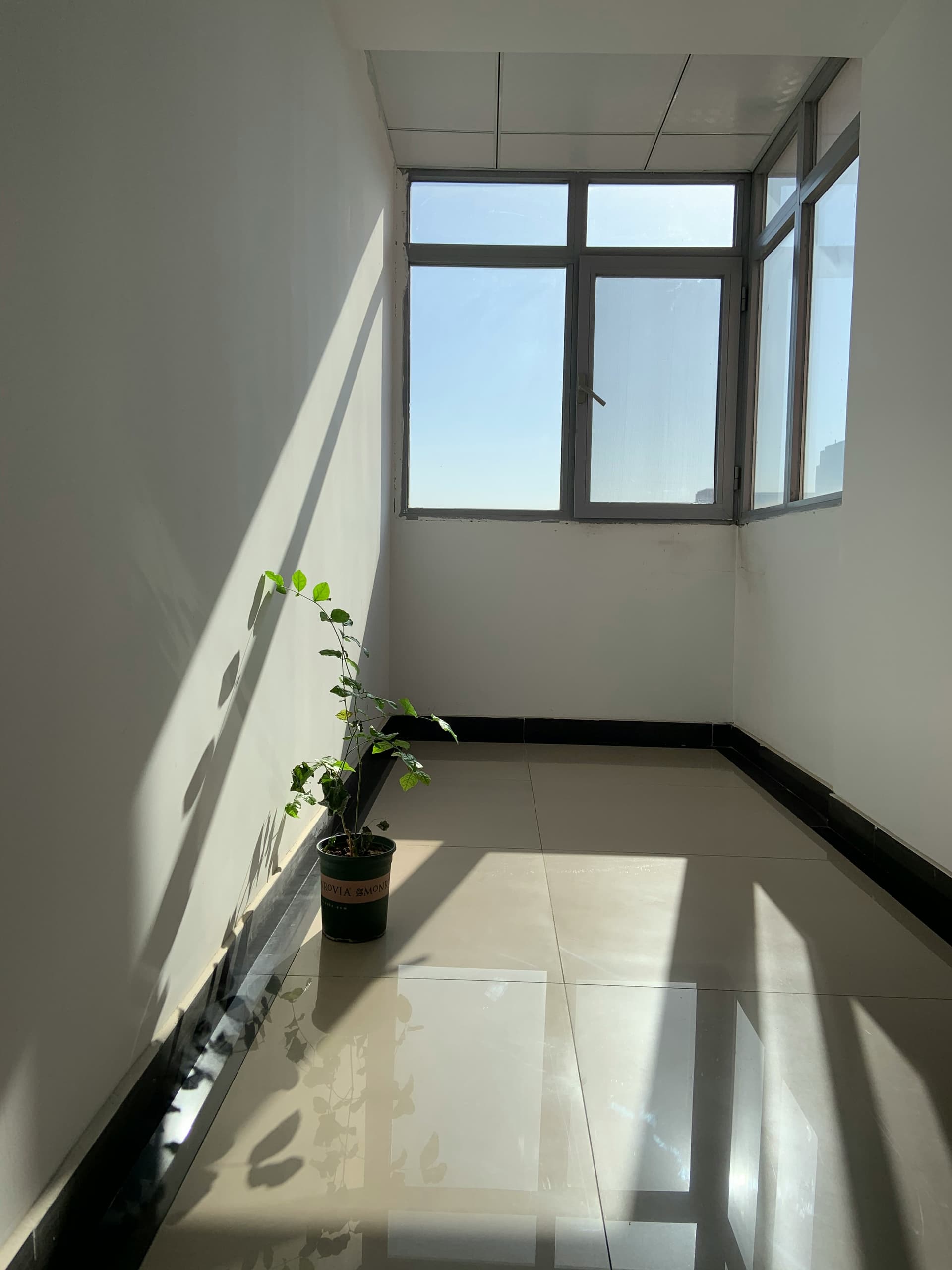 Profesionální úklidové práce Lederer